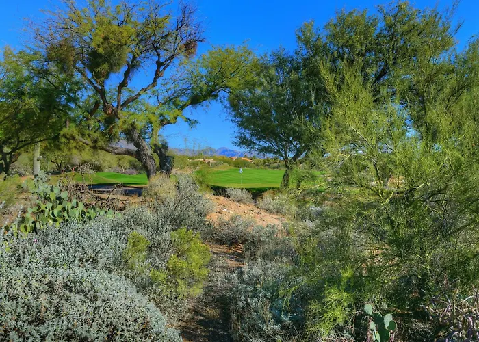 Sabino Canyon Gem * Tucson
