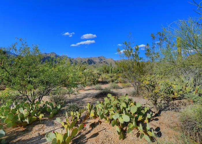 Holiday home Sabino Canyon Gem